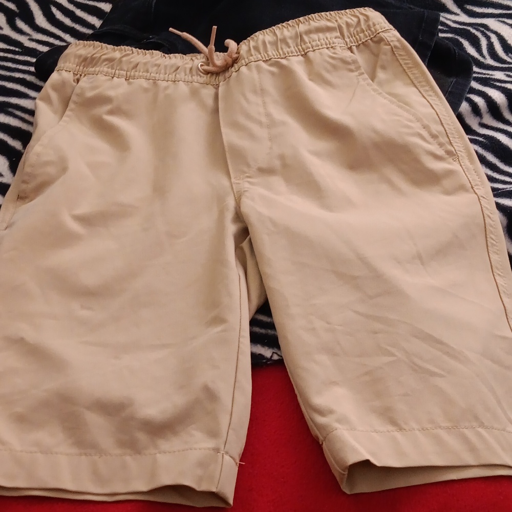 Boys Beige Flat Front Shorts